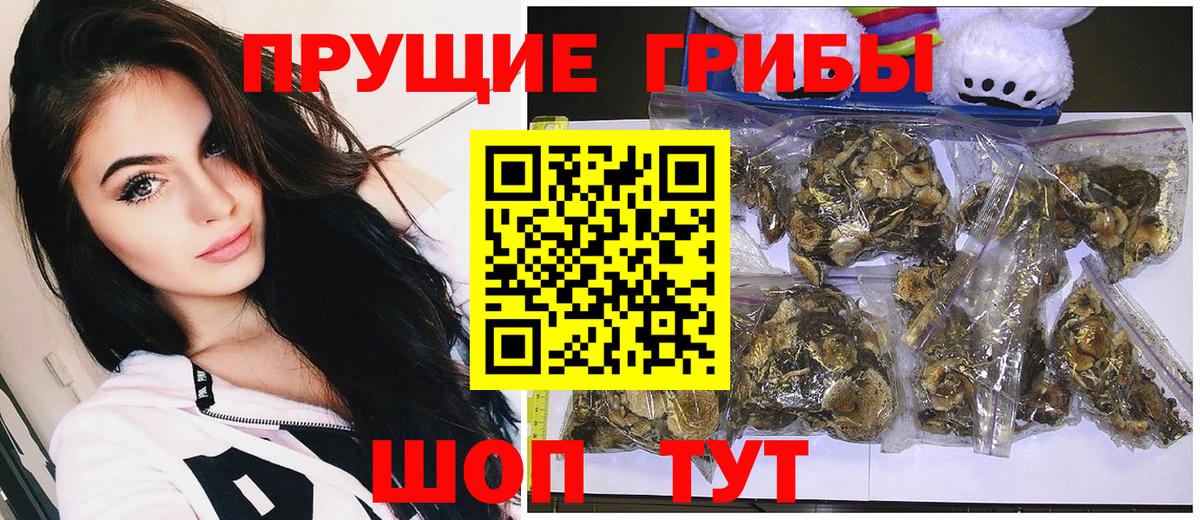 Галлюциногенные грибы мицелий Вязьма