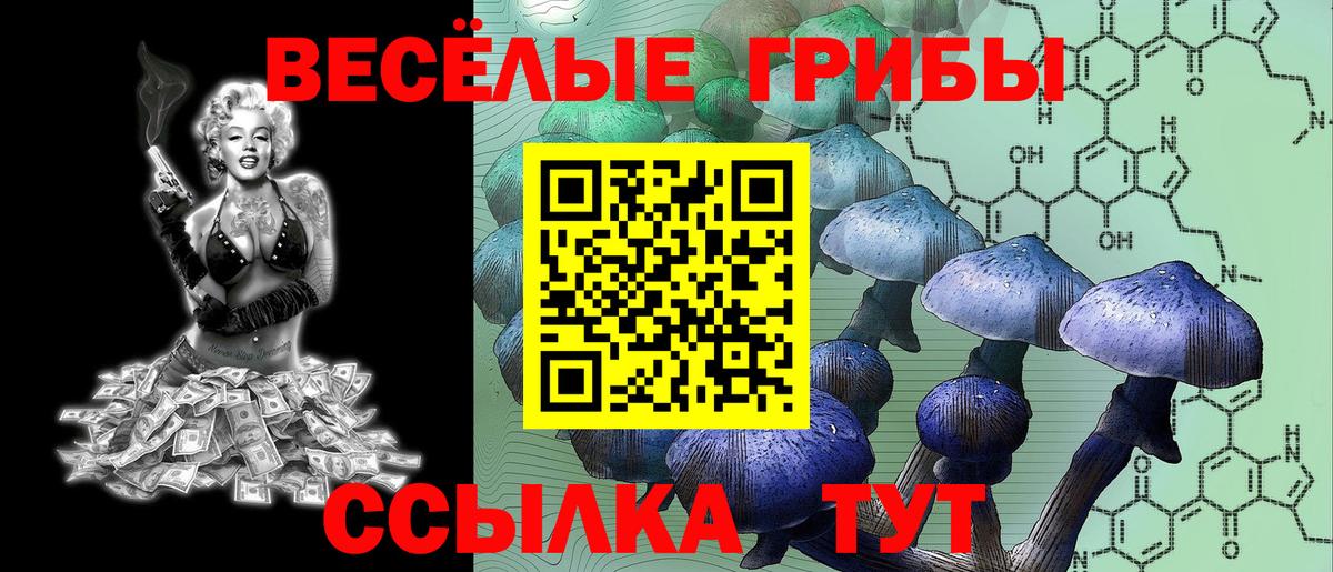 Вязьма  цены   Вход с VPN  Псилоцибиновые грибы Cubensis 